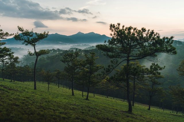 da lat central highlands vietnam