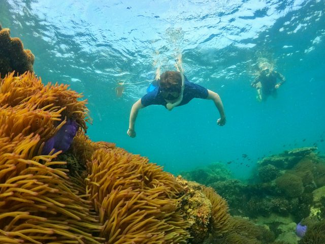 snorkeling phu quoc